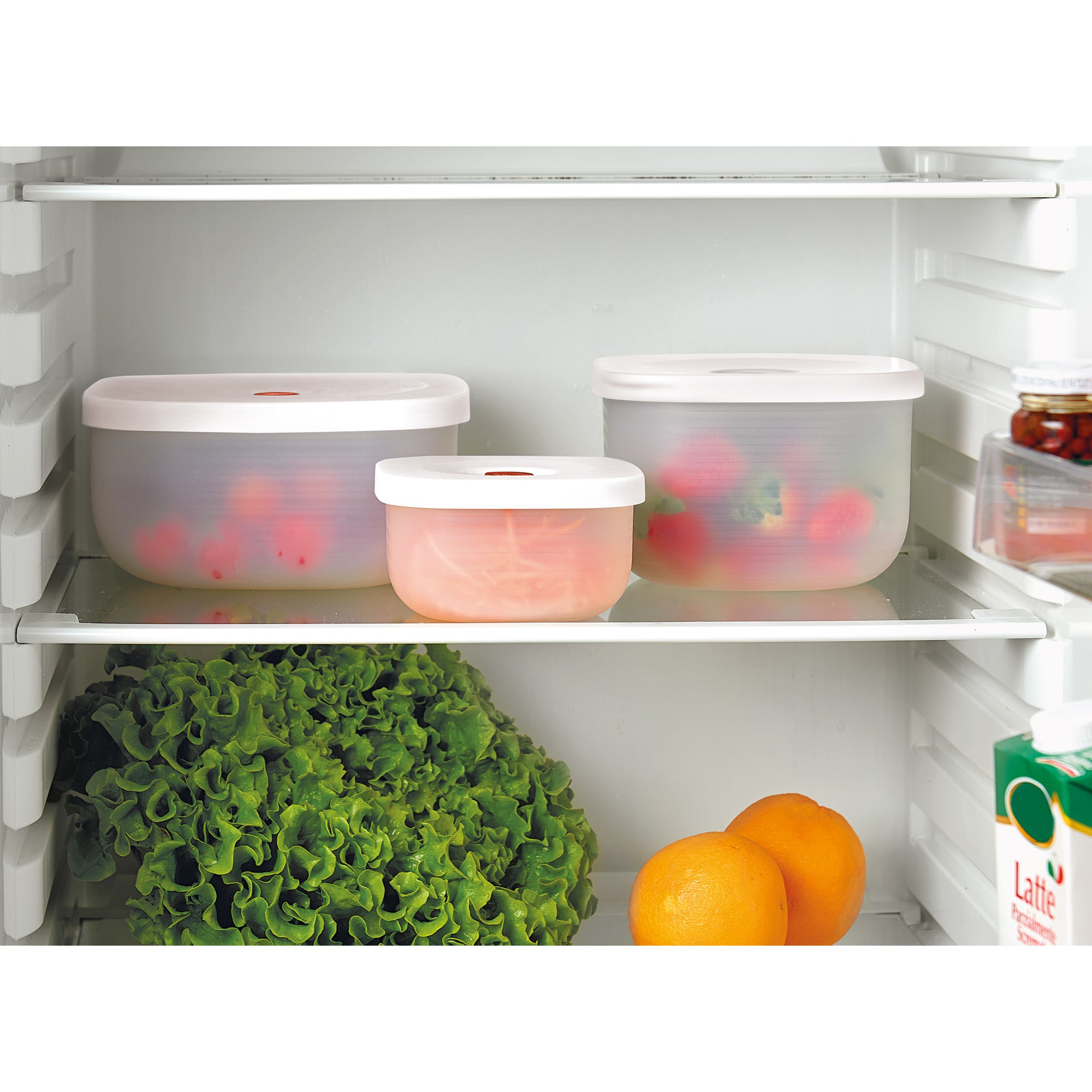 SHALLOW VACUUM CONTAINER 'SAVE-IT' "FOOD STORAGE" - Image 2